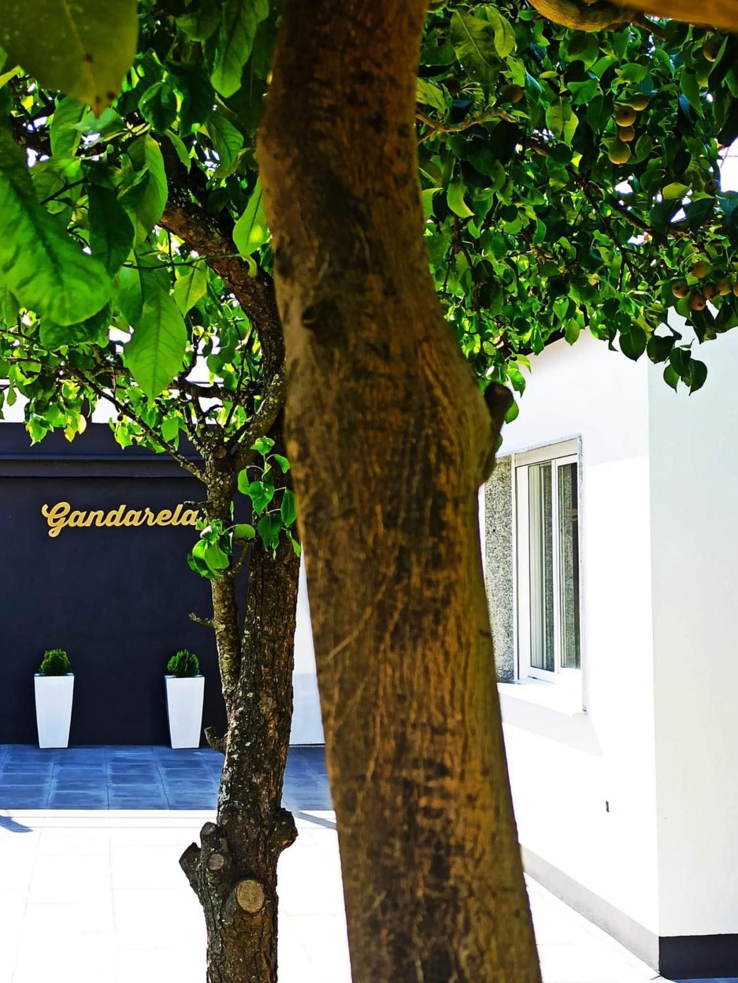 Apartamentos Gandarela Sanxenxo Bagian luar foto